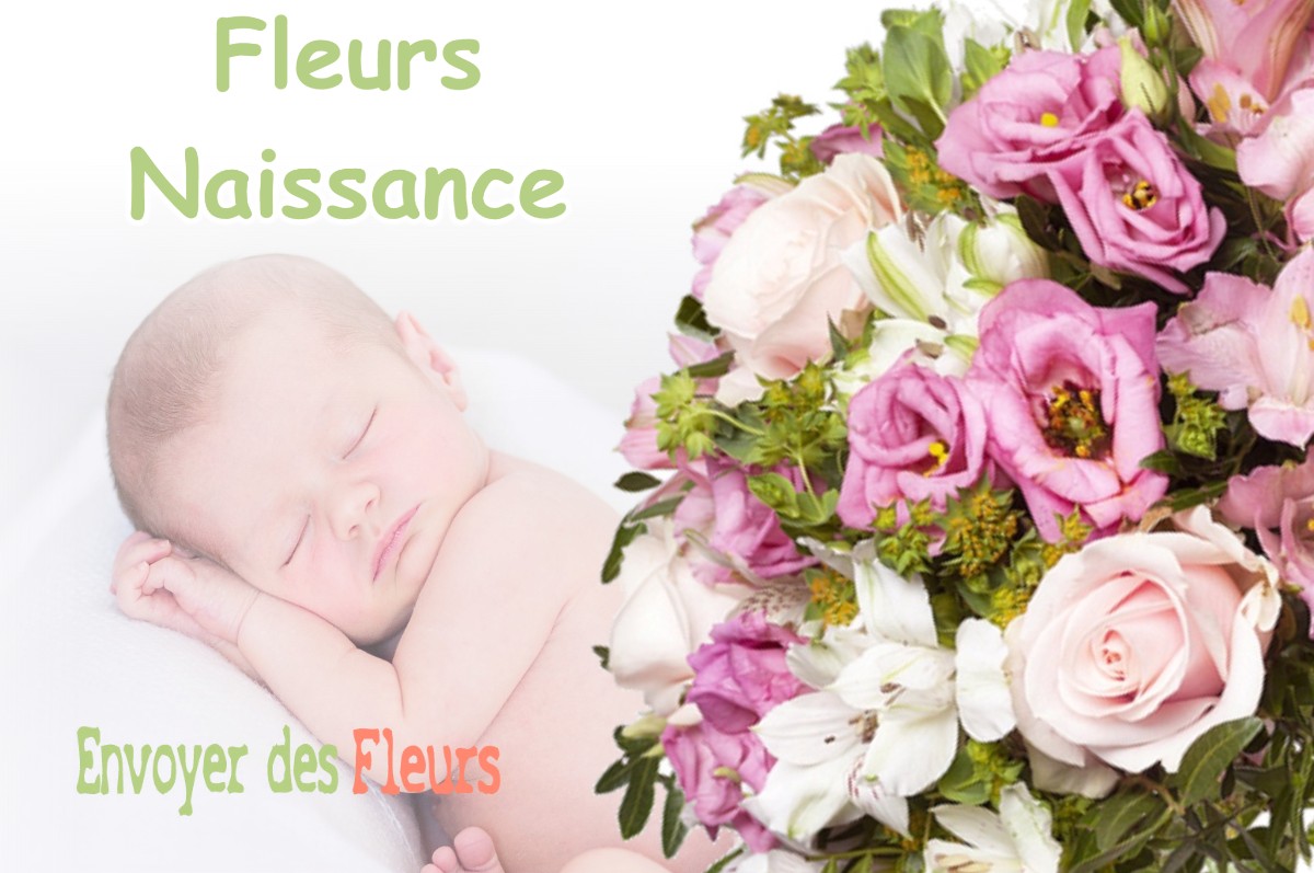 lIVRAISON FLEURS NAISSANCE à MORETEL-DE-MAILLES